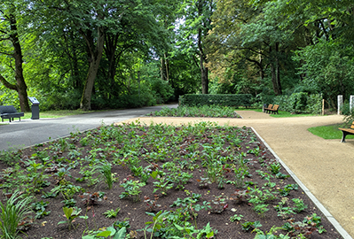 Carl-Hahn-Garten